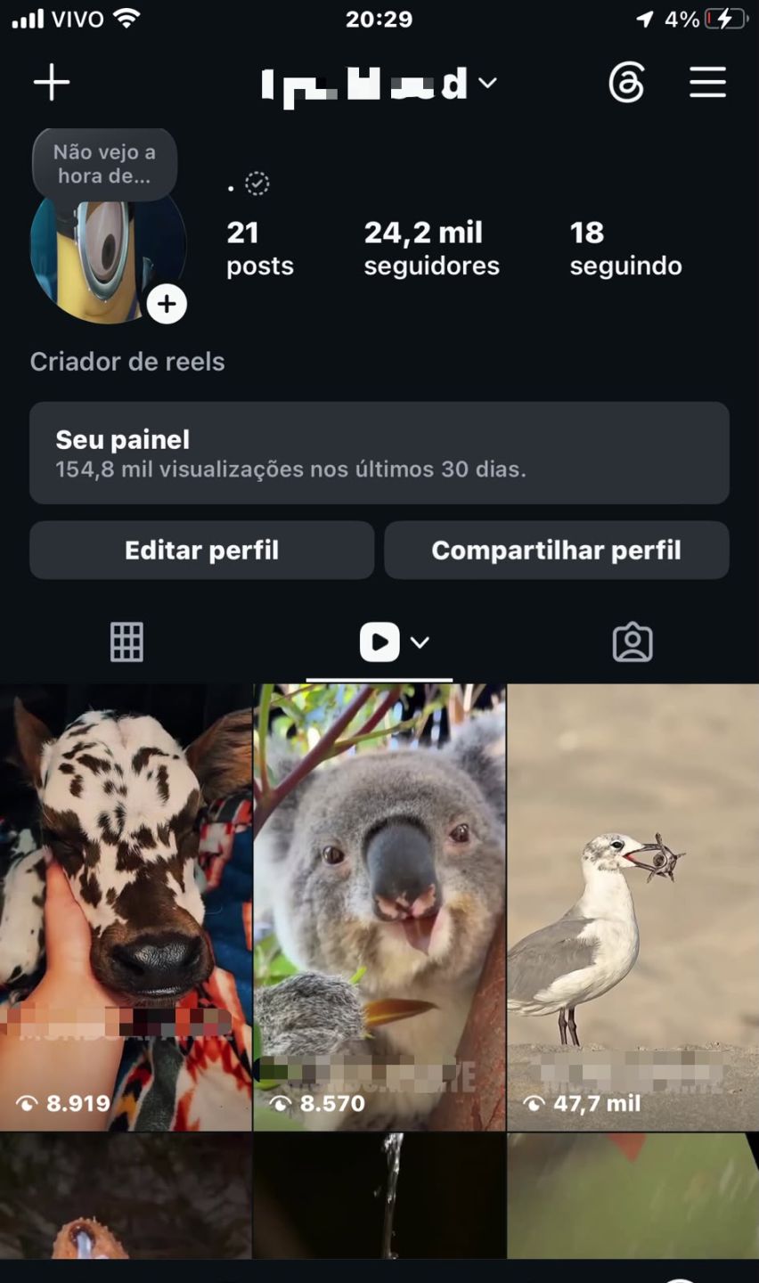 CONTA INSTAGRAM COM 24,2 MIL SEGUIDORES | IP BRASILEIRO