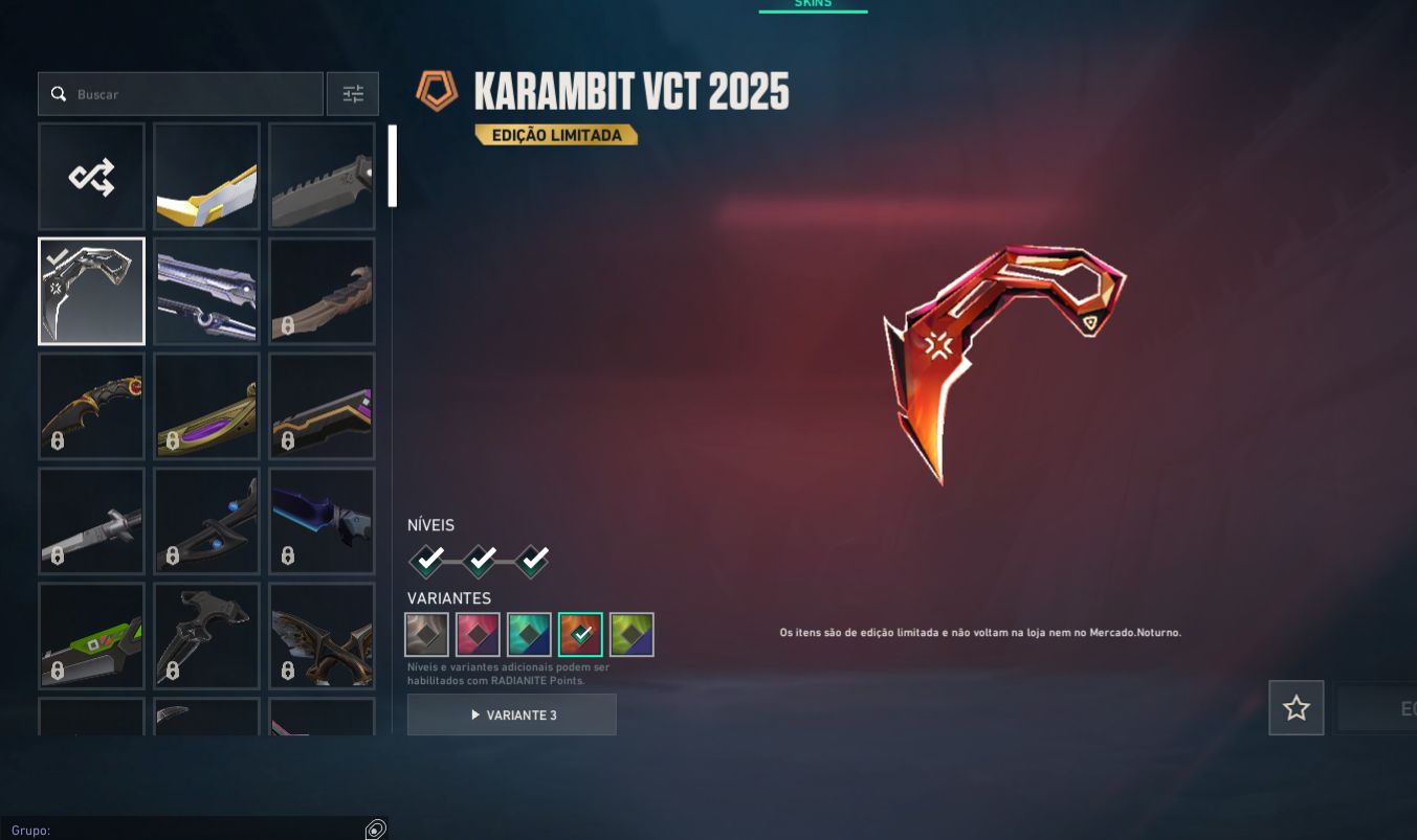 Conta Vava com 14 skins da loja, Karambit Vct 2025, ex imortal, + de 1k gasto