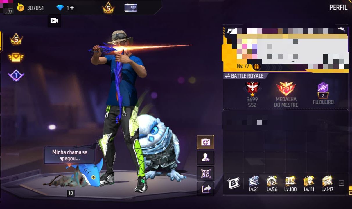 Conta Rara Nível 77