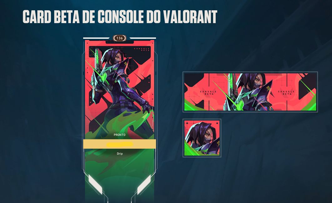 Conta Riot LoL skins e acessórios 10 anos mais + Valorant Bundle champions