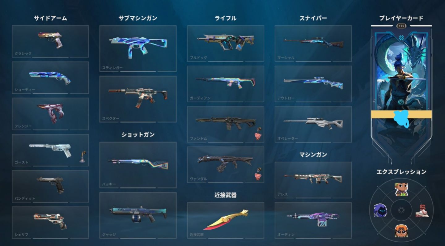CONTA LEAGUE OF LEGENDS FULL ACESSO- 376 SKINS - LEVEL 704 INCLUINDO SKINS VAVA