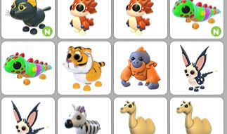 Melhores Pets e itens Roros adopt me