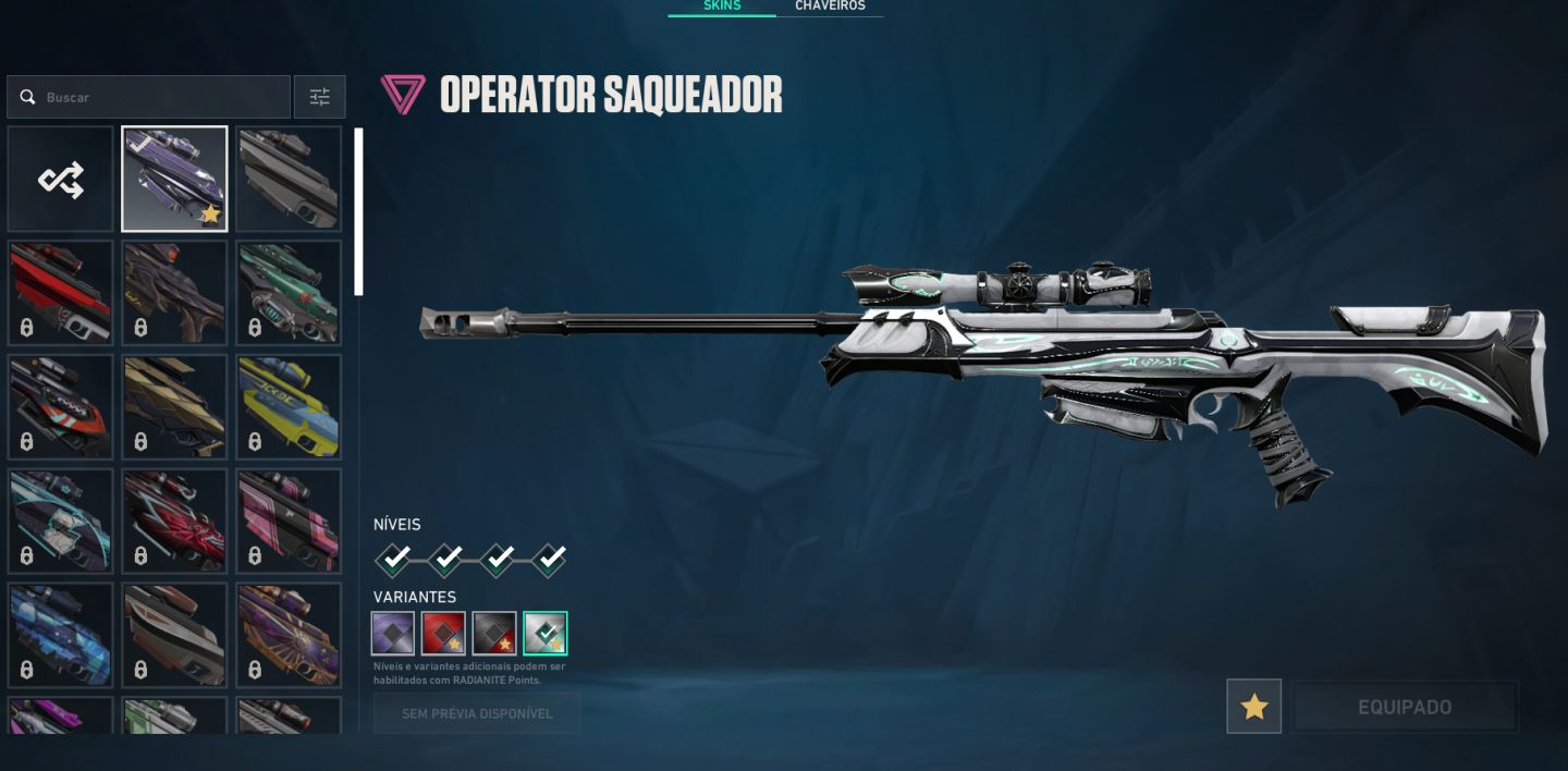 CONTA VALORANT | LVL 400
