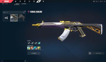 SUBLIME VANDAL + SAQUEADORA PHANTOM | UNRANKED | BOA PRA SMURF