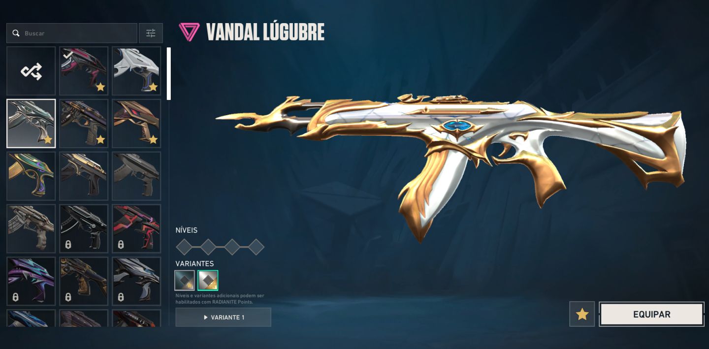 Valorant Conta Full Acesso Peak Platina 1 + Skins | +1381R$ Gastos