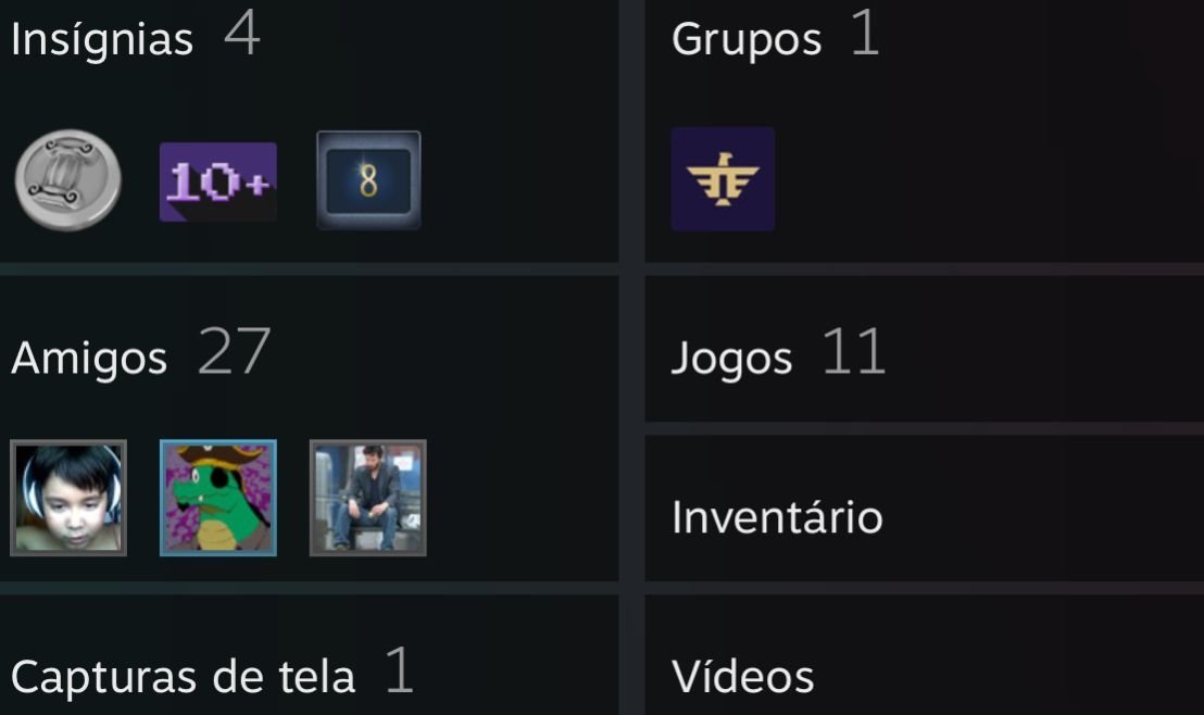 Conta steam com diversos jogos e nível alto de conta