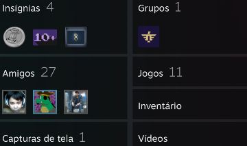 Conta steam com diversos jogos e nível alto de conta