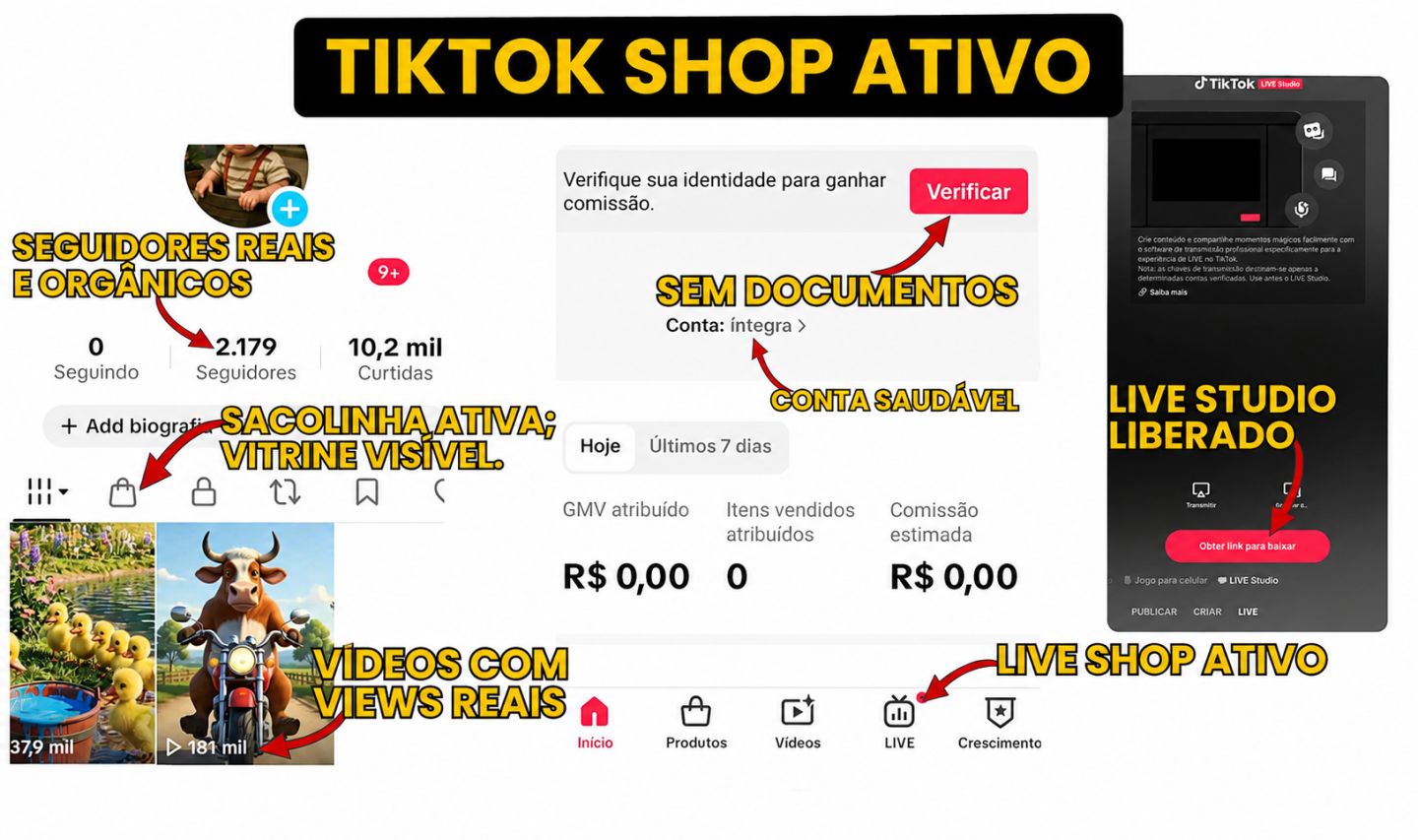 TikTok Aquecido -TikTok Shop- TikTok monetizado, ENTREGA AUTOMÁTICA ,Live Studio
