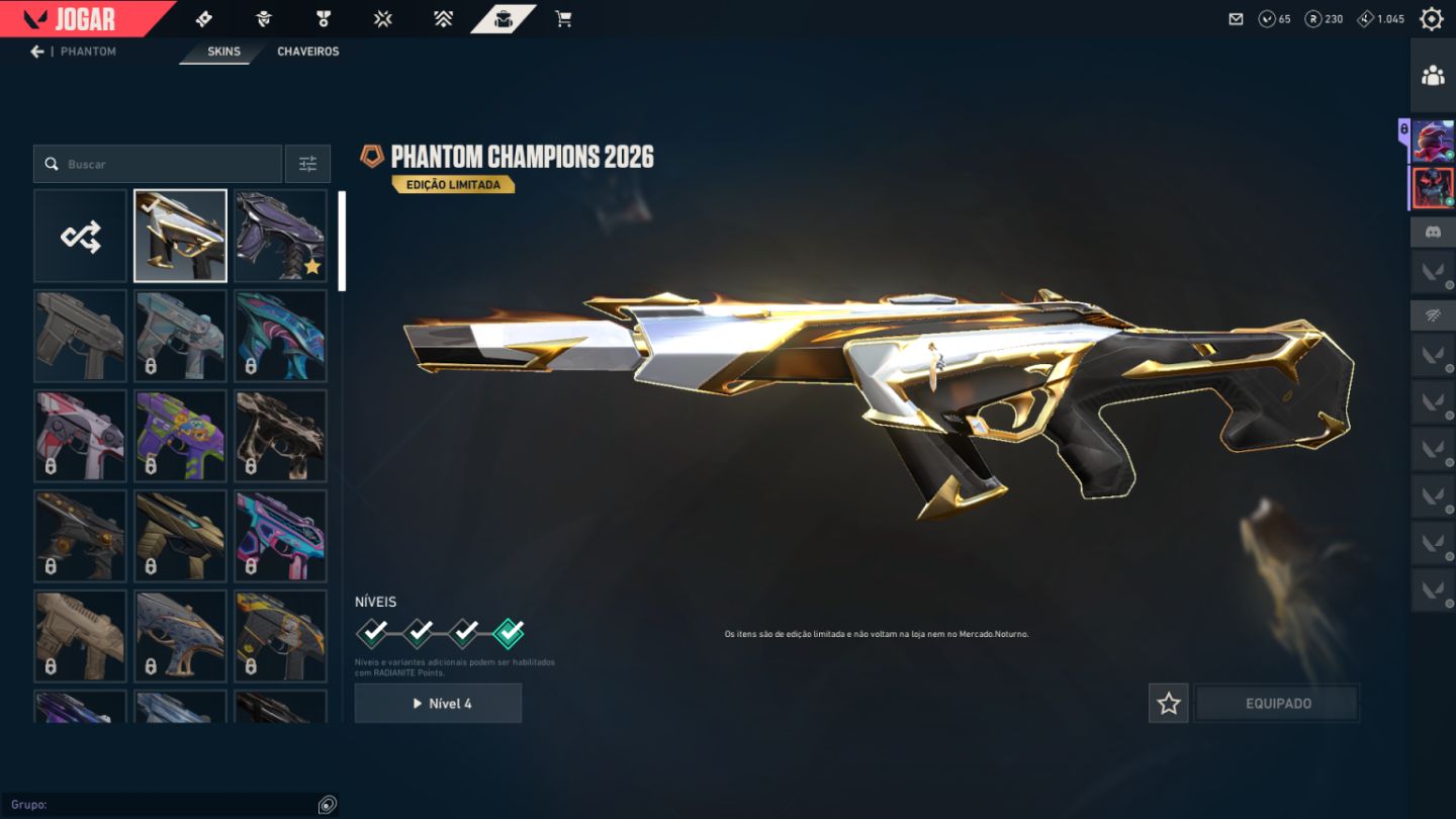 Conta Valorant com Skins - Lvl 102 - Full Agentes - Full Acesso