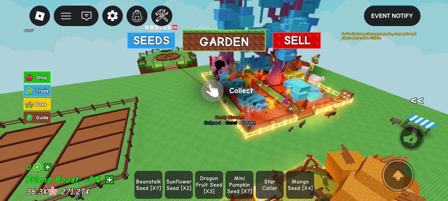 Conta Roblox Top focada em Grow a Garden 2 Elder Candy Blossom Gigante