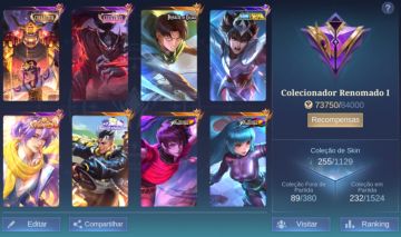 TODOS OS HERÓIS / EMBLEMAS NÍVEL MÁXIMO / COLECIONADOR RENOMADO 1