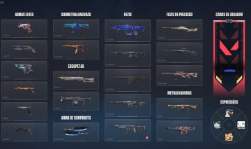 Conta de valorant full acesso com varias skins quero me desfazer